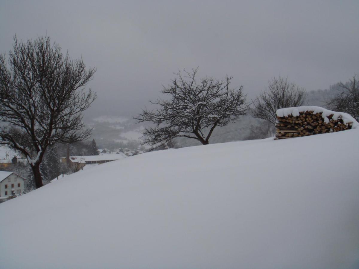 Gite De Famille Dans Les Vosges 생 모리스 쉬르 모젤 외부 사진