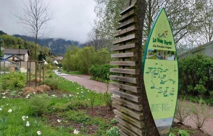 Gite De Famille Dans Les Vosges 생 모리스 쉬르 모젤 외부 사진