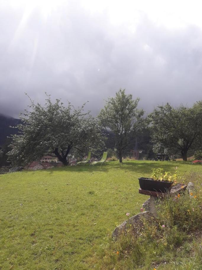 Gite De Famille Dans Les Vosges 생 모리스 쉬르 모젤 외부 사진
