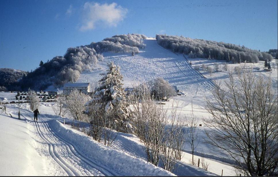 Gite De Famille Dans Les Vosges 생 모리스 쉬르 모젤 외부 사진